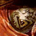 tattoo galleries/ - weeps detail